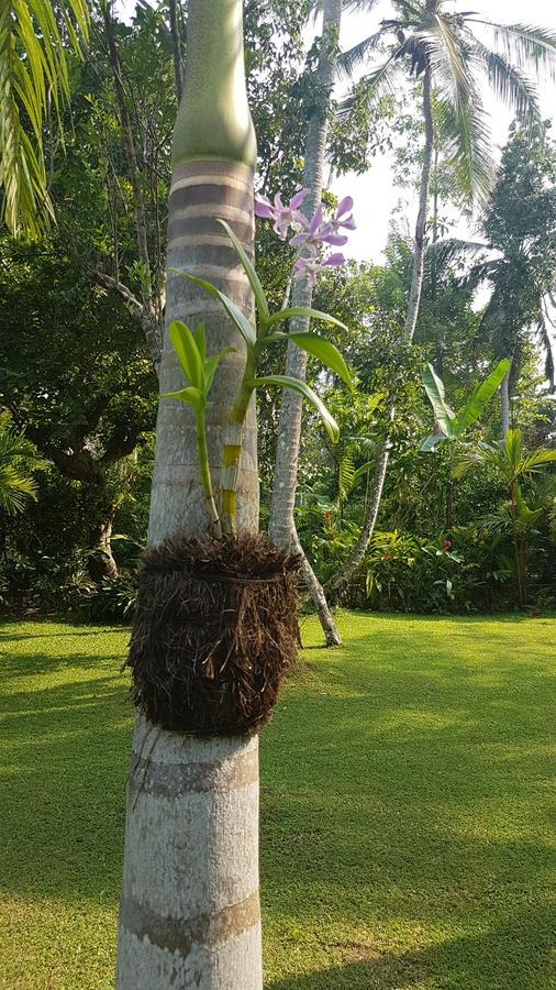 Good Karma Villa Bentota Dış mekan fotoğraf