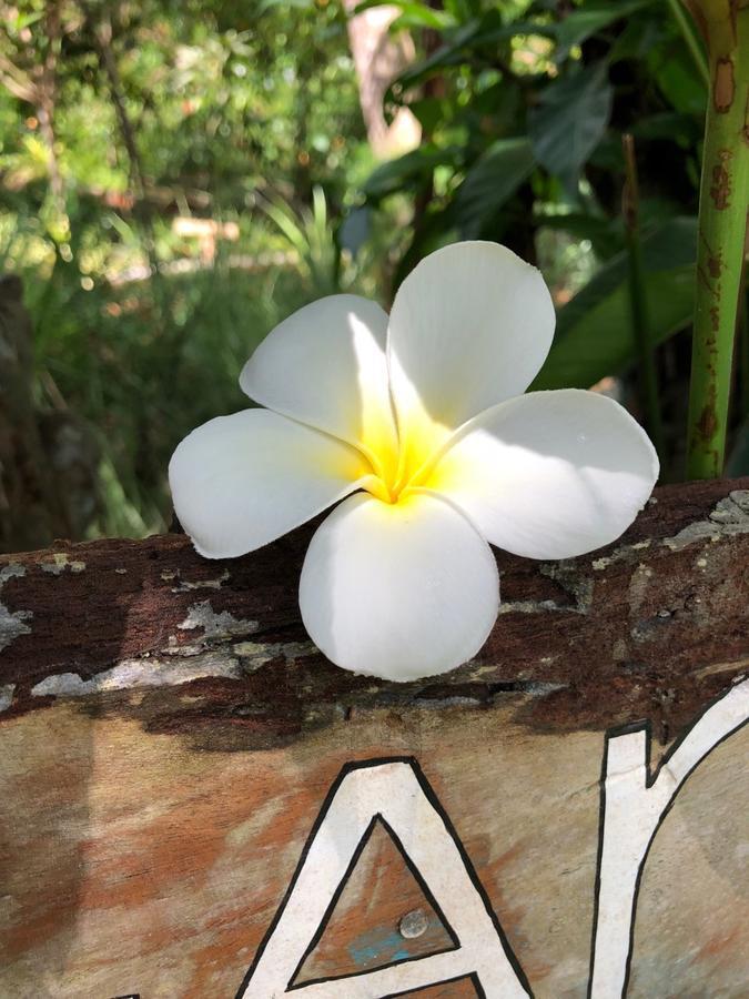 Good Karma Villa Bentota Dış mekan fotoğraf